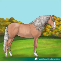 Horse Color:Silver Sable Champagne 