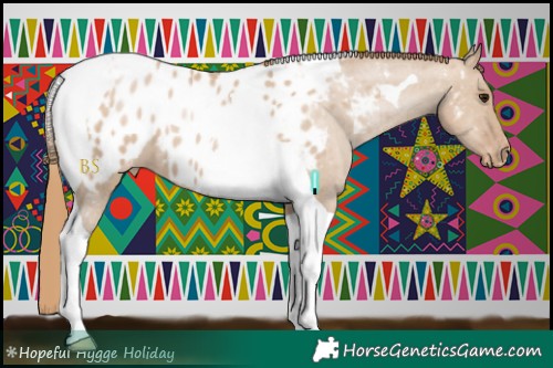 Horse Color:Grullo Pearl Tobiano Appaloosa 