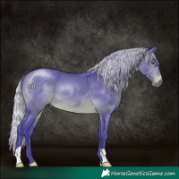 Horse Color:Watercolor Silver Brown Chinchilla 