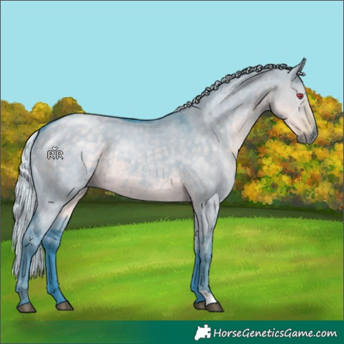 Horse Color:Watercolor Silver Smoky Grullo Chinchilla 