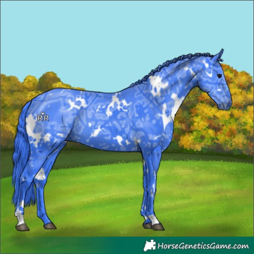 Horse Color:Watercolor White Spotted Black Ice