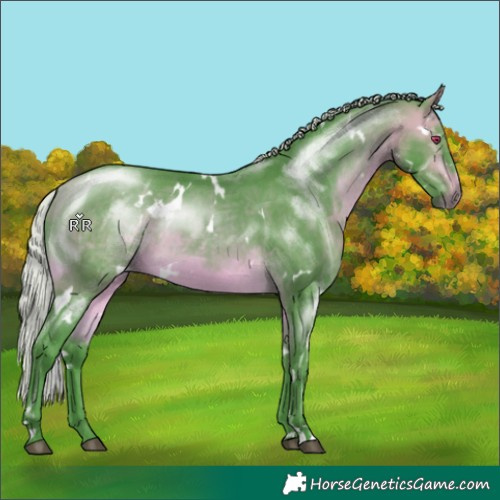 Horse Color:Watercolor White Spotted Silver Buckskin Chinchilla 