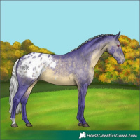 Horse Color:Watercolor Silver Brown Chinchilla Appaloosa 