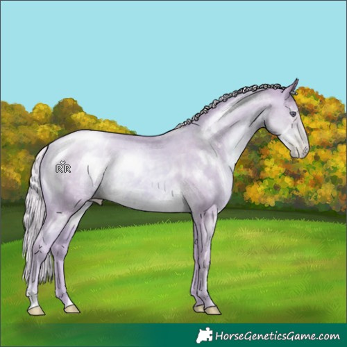 Horse Color:Watercolor Silver Smoky Black Chinchilla Pearl 