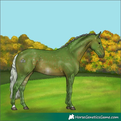 Horse Color:Watercolor Silver Brown Rabicano