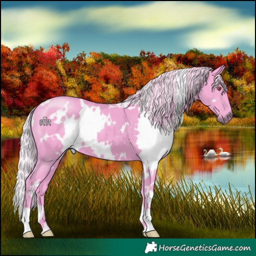 Horse Color:Watercolor White Spotted Silver Black Chinchilla 