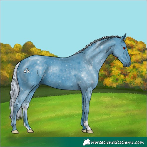 Horse Color:Watercolor Silver Black Chinchilla