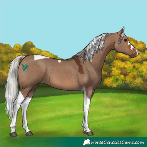 Horse Color:Silver Brown Dun Tobiano