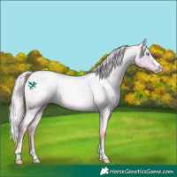 Horse Color:Silver Buckskin Roan Pearl Dun Varnish 