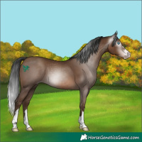 Horse Color:Gray Sable Champagne 