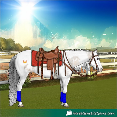 Horse Color:White Spotted Brown Dun Splash Tobiano Rabicano 