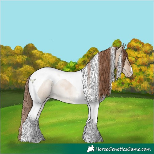 Horse Color:Grullo Pearl Tobiano 