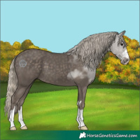 Horse Color:Silver Smoky Black 