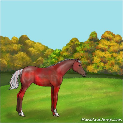 Horse Color:Painted Silver Black Sabino Rabicano 