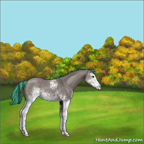 Horse Color:Painted White Spotted Grullo 