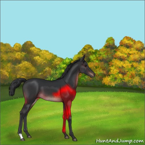 Horse Color:Brown 