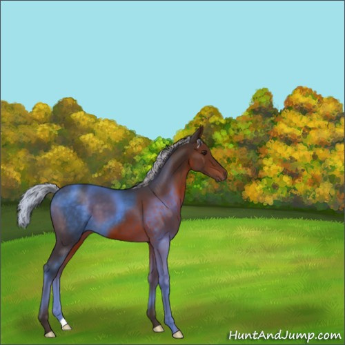 Horse Color:Silver Brown 