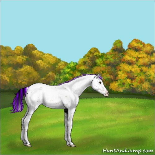 Horse Color:Painted White Spotted Silver Brown Dun 