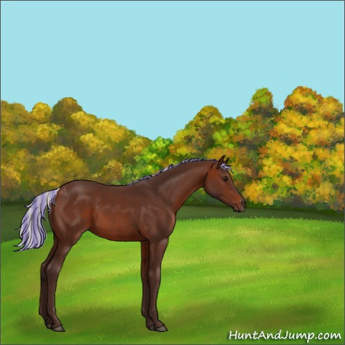 Horse Color:Painted Silver Brown 