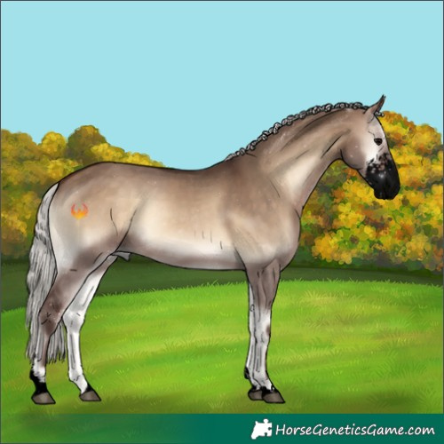 Horse Color:Void Silver Brown Onyx Sabino 