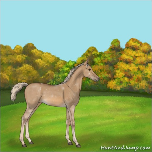 Horse Color:Void Chocolate Palomino Dun 
