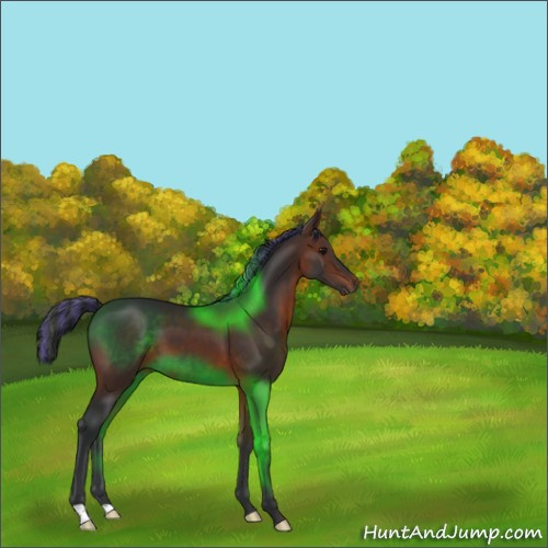 Horse Color:Painted Brown 