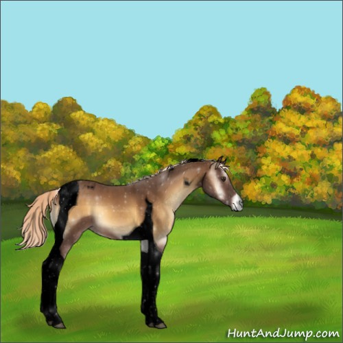 Horse Color:Void Chocolate Palomino Onyx Tobiano 