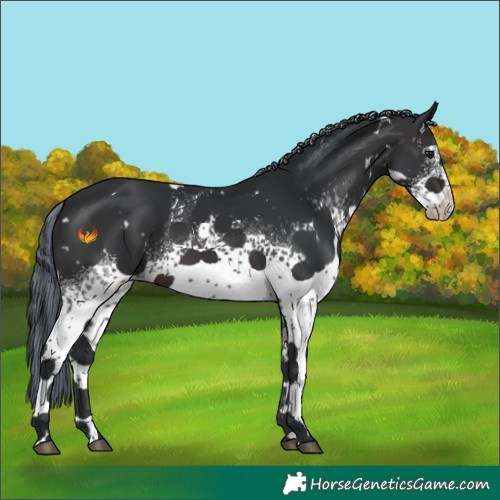 Horse Color:Painted White Spotted Brown 