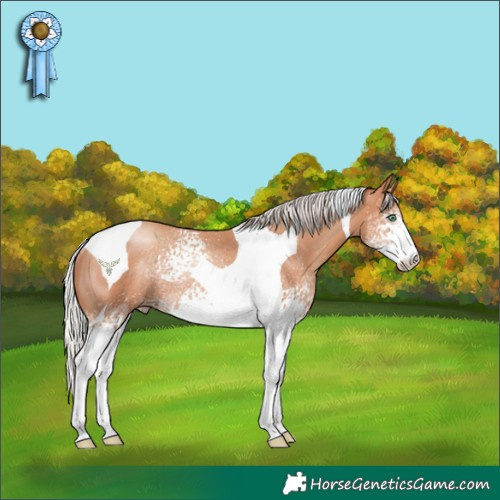 Horse Color:White Spotted Silver Classic Champagne Tobiano Rabicano 