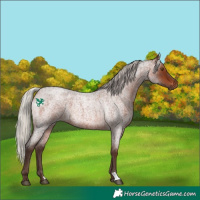 Horse Color:Silver Brown Roan 