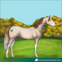 Horse Color:Brown Pearl Dun Splash 