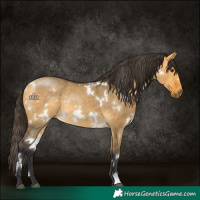 Horse Color:White Spotted Buckskin Dun Rabicano 