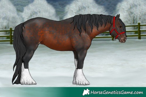 Horse Color:Brown Tobiano Varnish