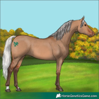 Horse Color:Silver Bay Dun 