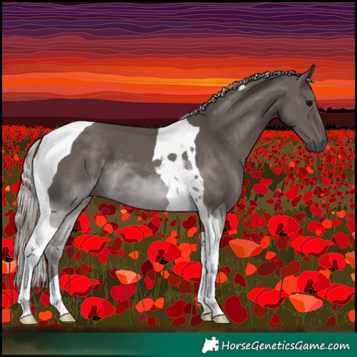 Horse Color:Silver Black Tobiano