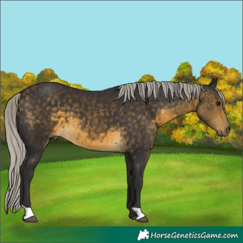 Horse Color:Silver Buckskin 