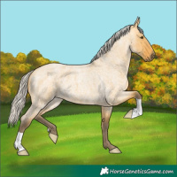 Horse Color:Silver Buckskin Roan Dun Brindle