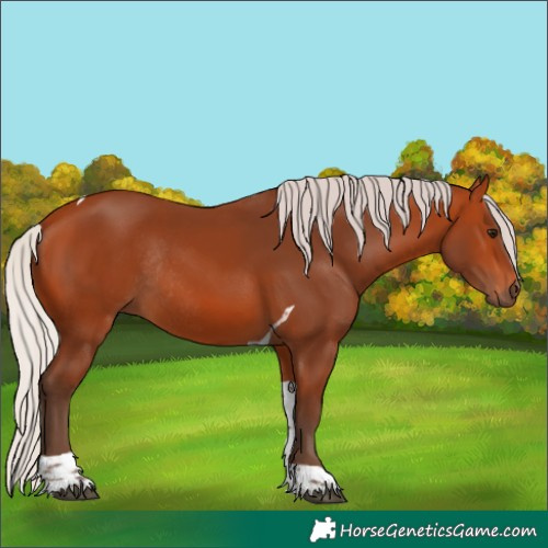 Horse Color:Silver Bay Tobiano Rabicano 