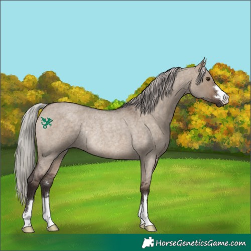 Horse Color:Silver Brown Roan Dun Rabicano 