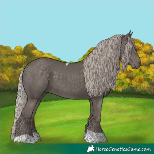 Horse Color:Silver Black Tobiano