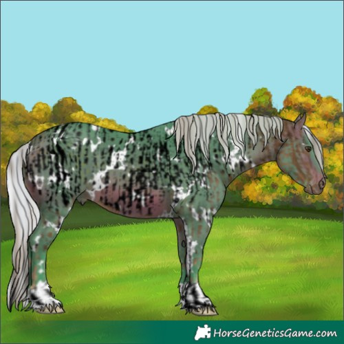 Horse Color:Void White Spotted Chocolate Palomino Appaloosa  and Watercolor White Spotted Silver Brown 