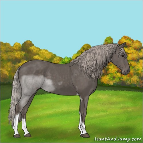 Horse Color:Silver Black Tobiano
