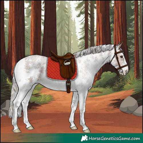 Horse Color:Silver Brown Sabino 
