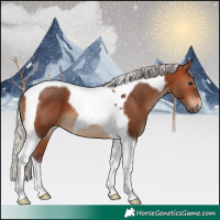 Horse Color:Silver Brown Tobiano