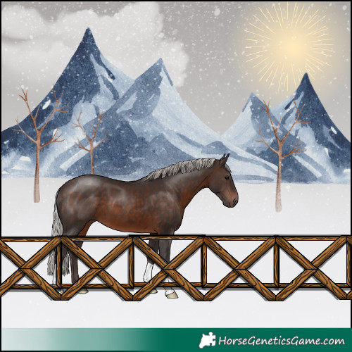 Horse Color:Silver Brown 