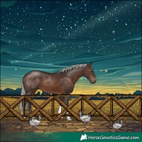 Horse Color:Silver Brown 