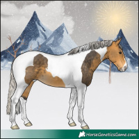 Horse Color:Silver Buckskin Tobiano 
