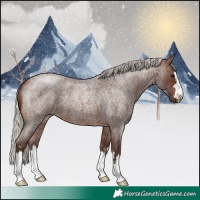 Horse Color:Silver Brown Roan 
