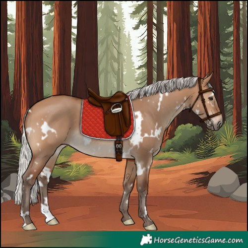 Horse Color:White Spotted Silver Brown Dun 