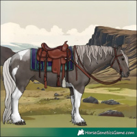 Horse Color:Silver Black Tobiano 
